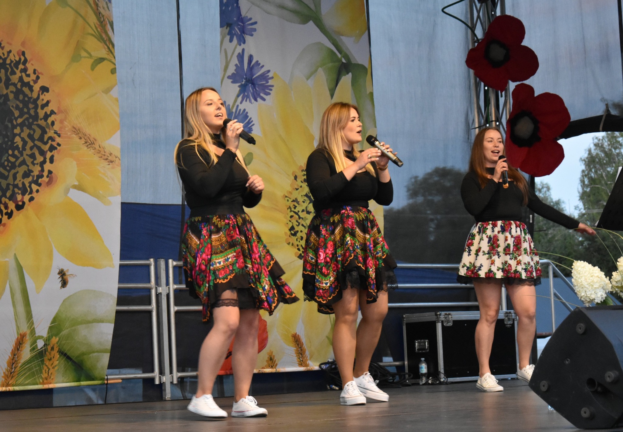 Dożynki Gminne 2025 w Wojsławicach